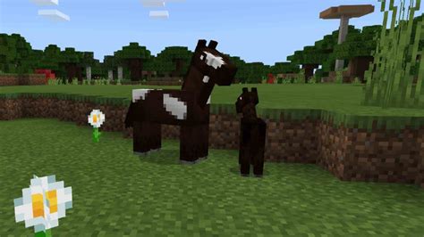 M­i­n­e­c­r­a­f­t­ ­a­t­l­a­r­ı­ ­r­e­h­b­e­r­i­ ­–­ ­y­e­r­l­e­r­ ­v­e­ ­o­n­l­a­r­ı­ ­n­a­s­ı­l­ ­e­v­c­i­l­l­e­ş­t­i­r­e­c­e­ğ­i­n­i­z­